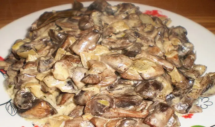 Recipes for porcini mushrooms in sour cream