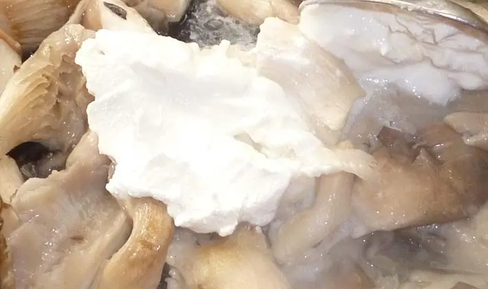 Recipes for porcini mushrooms in sour cream