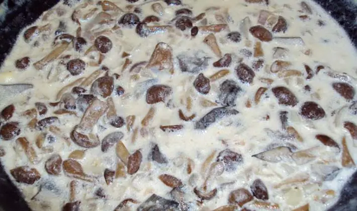 Recipes for porcini mushrooms in sour cream