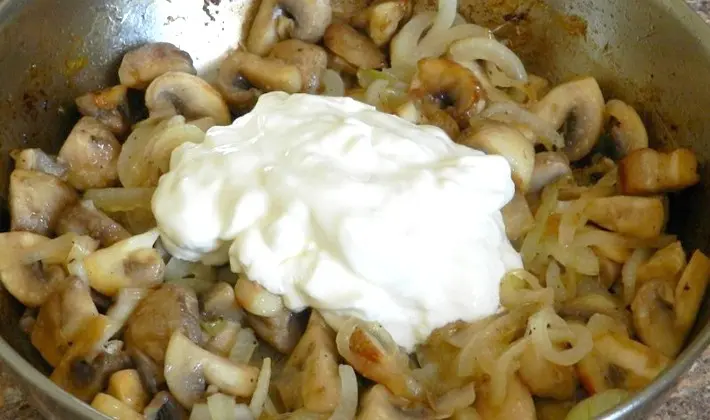 Recipes for porcini mushrooms with sour cream