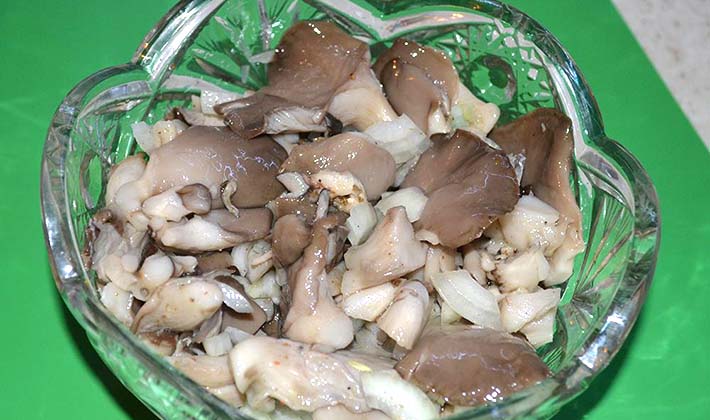 Recipes for salting white milk mushrooms hot and cold in jars