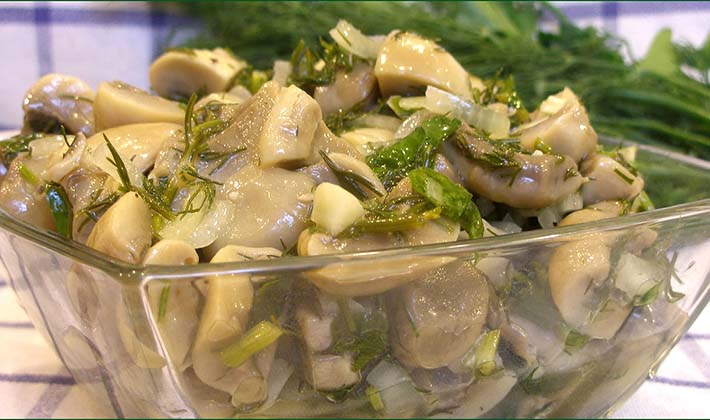 Recipes for salting white milk mushrooms hot and cold in jars