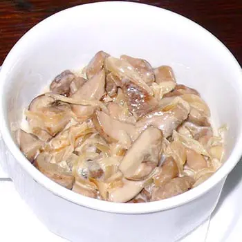 Recipes for stewed porcini mushrooms