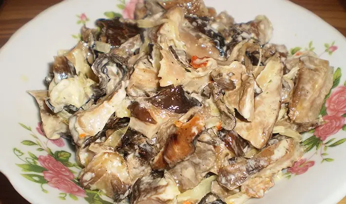 Recipes for stewed porcini mushrooms