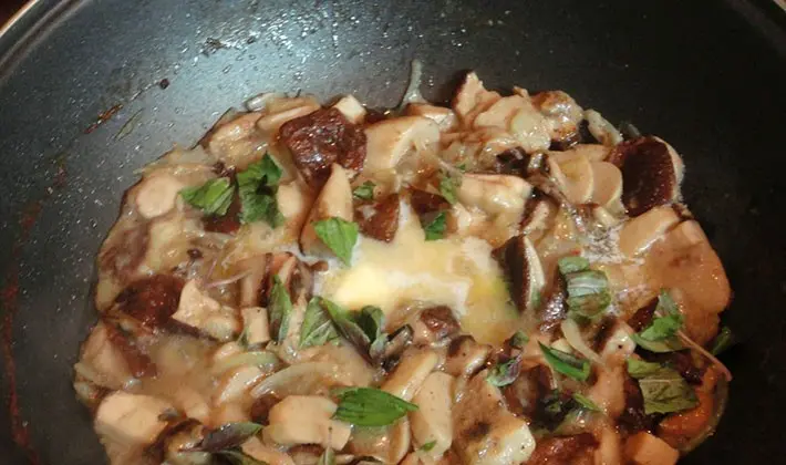 Recipes for stewed porcini mushrooms