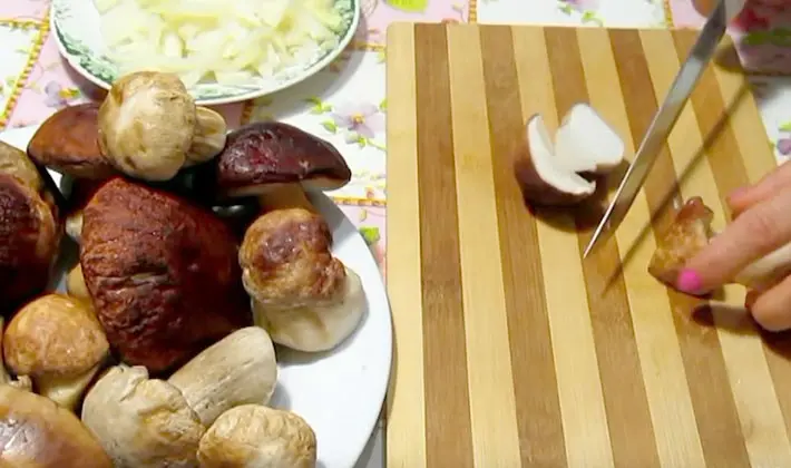 Recipes for stewed porcini mushrooms