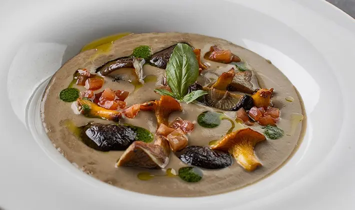 Recipes for the simplest and most delicious dishes of porcini mushrooms