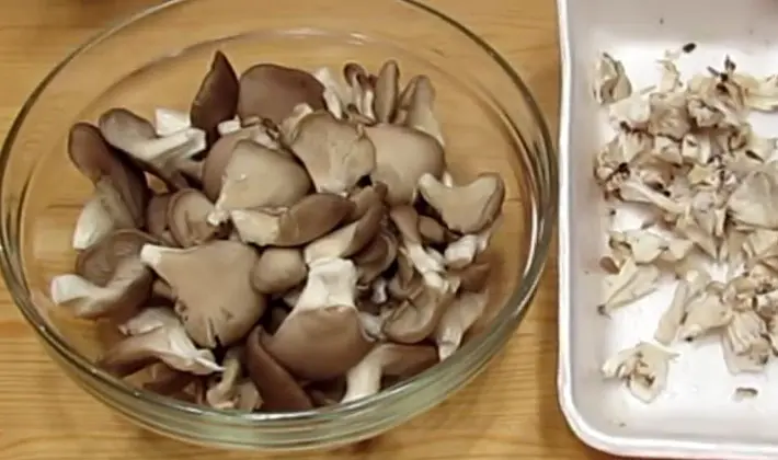 Recipes for the simplest and most delicious dishes of porcini mushrooms