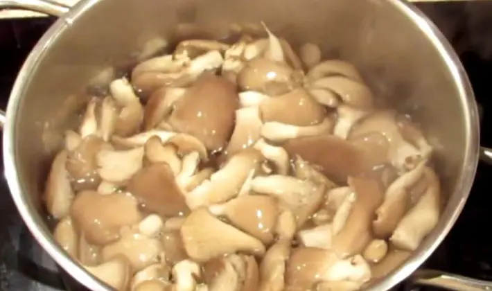 Recipes for the simplest and most delicious dishes of porcini mushrooms