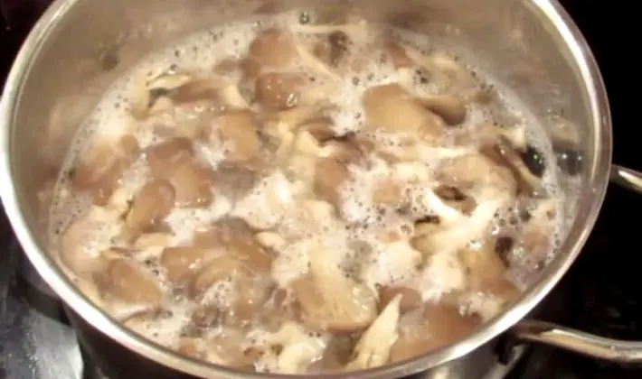 Recipes for the simplest and most delicious dishes of porcini mushrooms