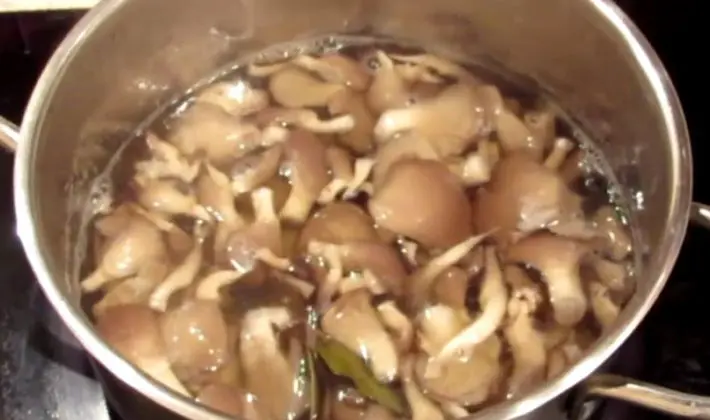 Recipes for the simplest and most delicious dishes of porcini mushrooms