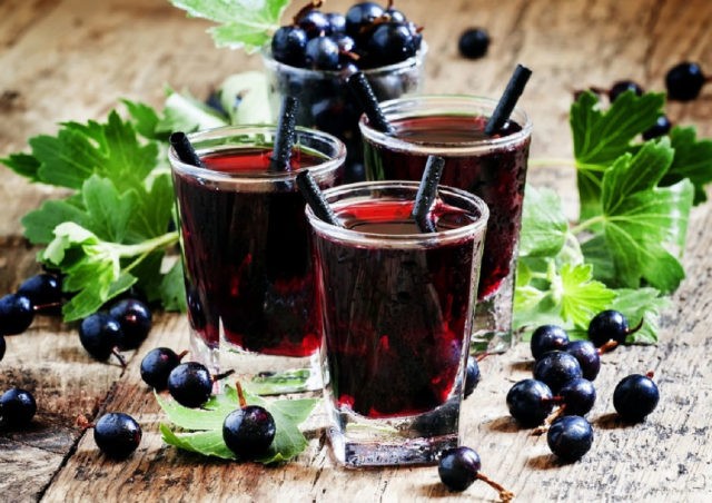 Recipes for tincture on currant leaves and branches