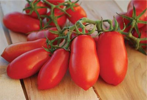 Recipes for tomato slices for the winter