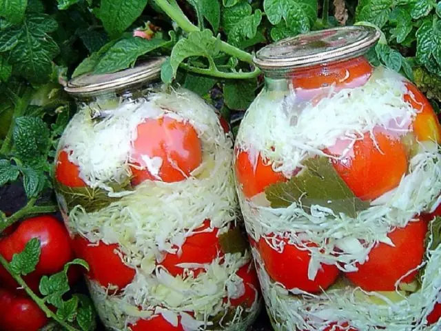Recipes tomato with cabbage in a jar
