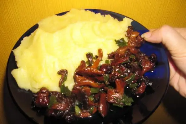 Recipes with potatoes, mushrooms and vegetables