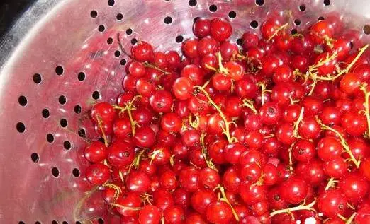 Red and black currant tkemali sauce 