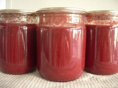 Red and black currant tkemali sauce 