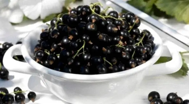 Red and black currant tkemali sauce 