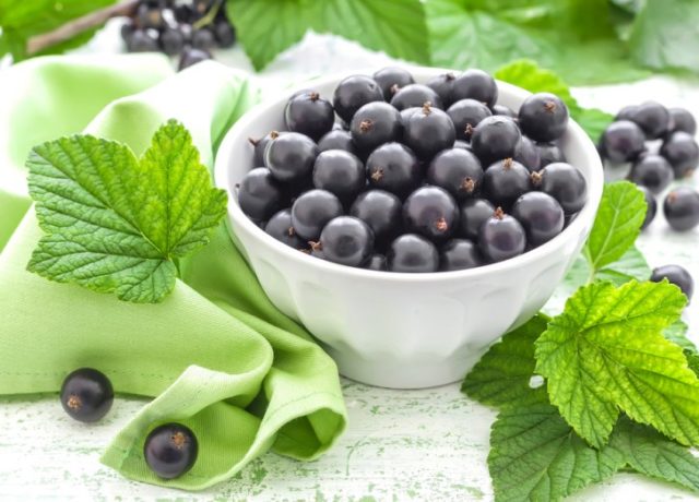 Red and black currants during early and late pregnancy