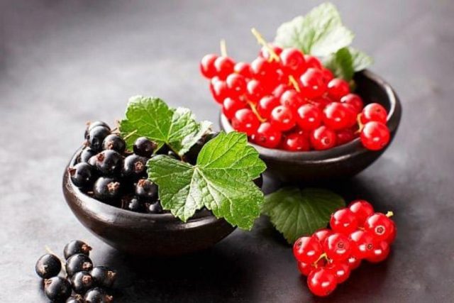 Red and black currants during early and late pregnancy