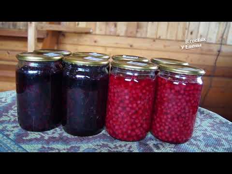 Red and black currants in their own juice