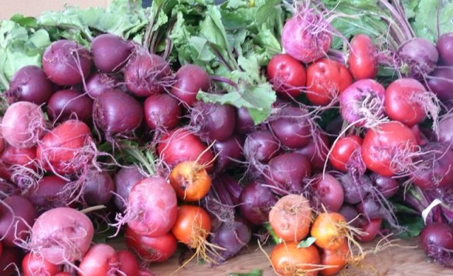 Red beets: useful properties for men