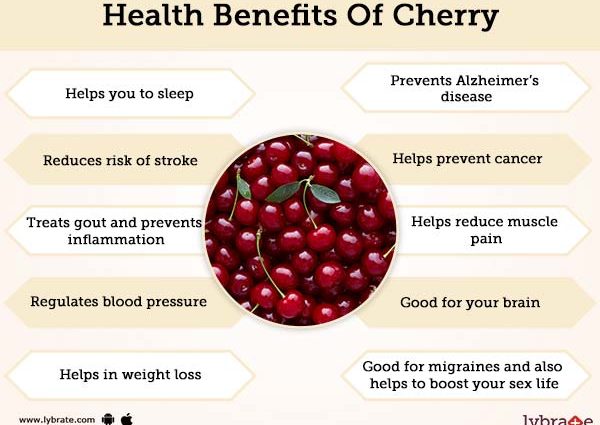 Red bird cherry: benefits and harms