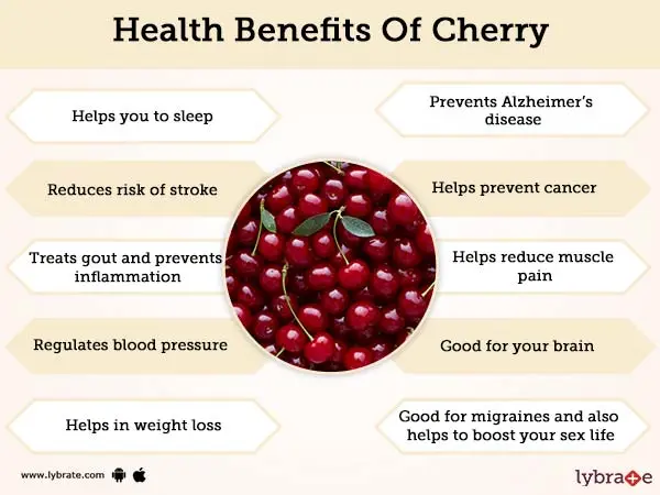 Red bird cherry: benefits and harms