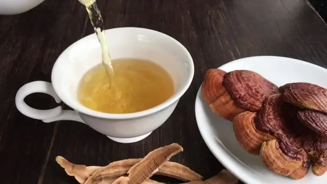 Red, black, green tea with reishi mushroom: benefits and contraindications, doctors reviews