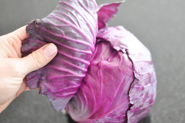 Red cabbage: benefits and harms, composition, contraindications