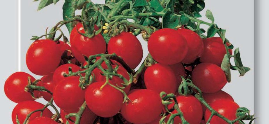 Red cherry tomato: variety description, photo, reviews