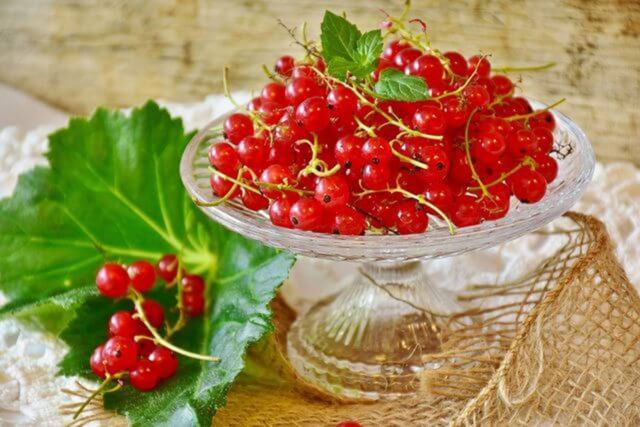 Red currant Early sweet: variety description, photos, reviews