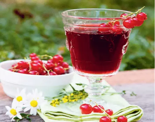 Red currant: freezing for the winter