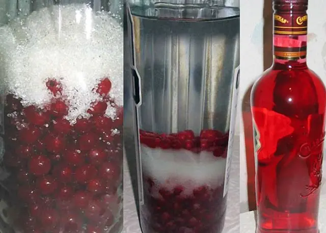 Red currant tincture at home