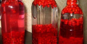 Red currant tincture at home