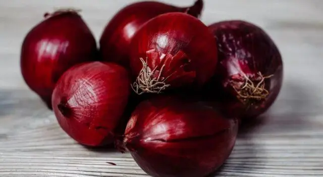 Red onion sets Carmen: description and characteristics of the variety, reviews