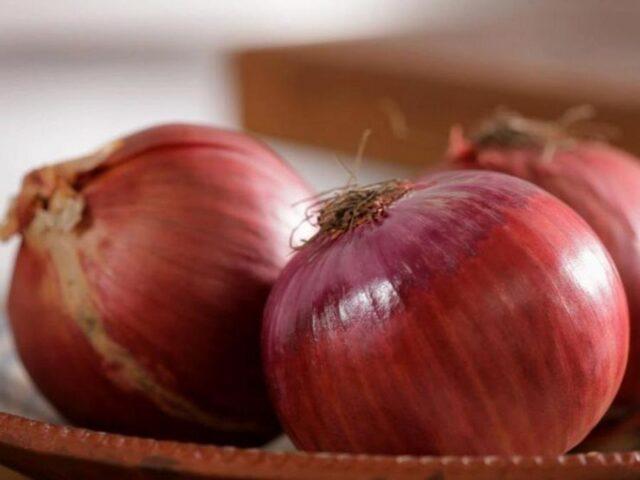 Red (purple) onion: health benefits and harms for women and men, composition