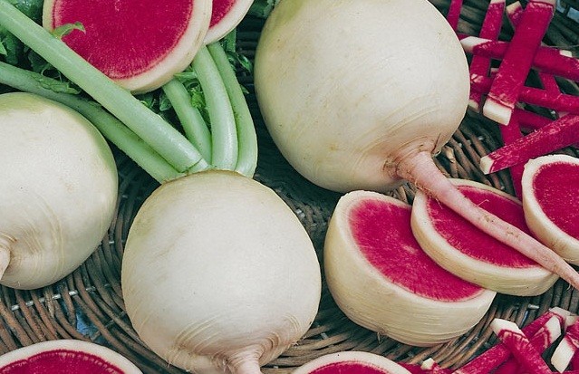 Red radish: cultivation features, care and yield