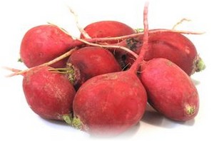 Red radish: cultivation features, care and yield