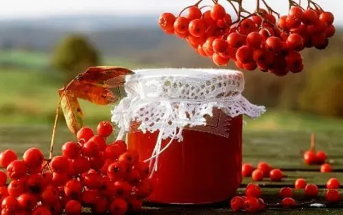 Red rowan jam at home