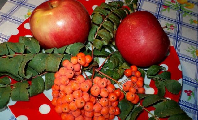 Red rowan jam at home