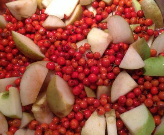 Red rowan jam at home