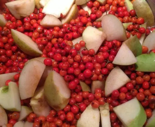 Red rowan jam at home