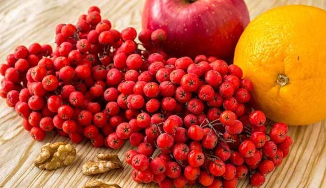 Red rowan jam at home