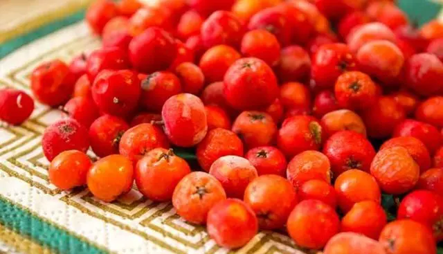 Red rowan jam at home