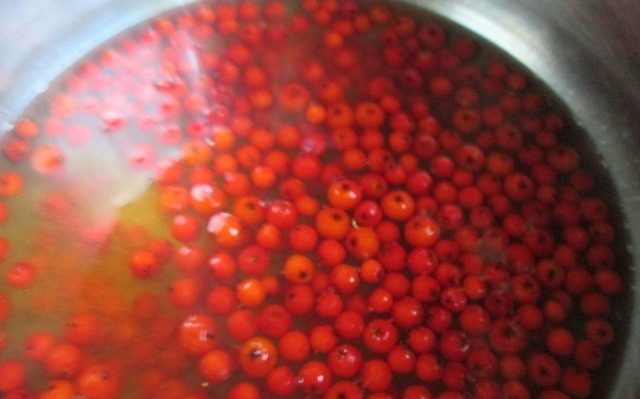 Red rowan jam at home