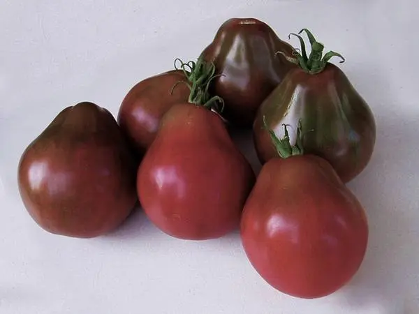 Red Truffle Tomato: reviews + photos