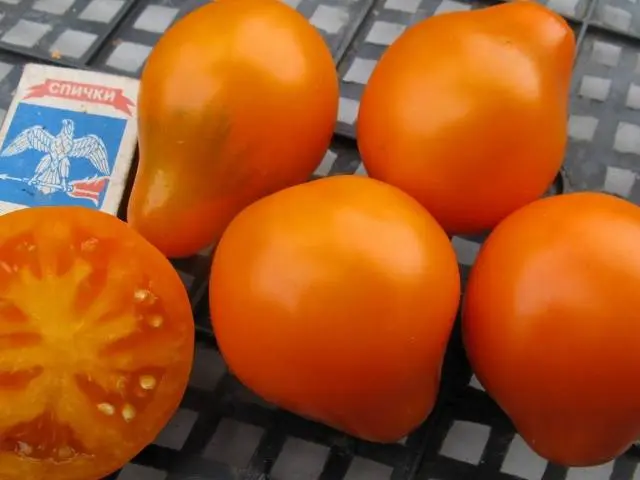 Red Truffle Tomato: reviews + photos