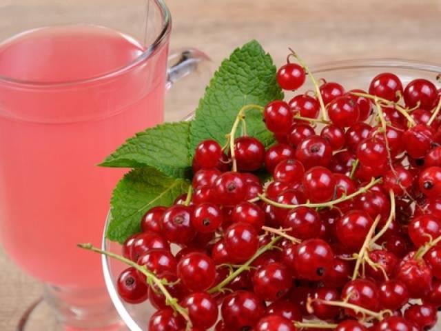 Redcurrant