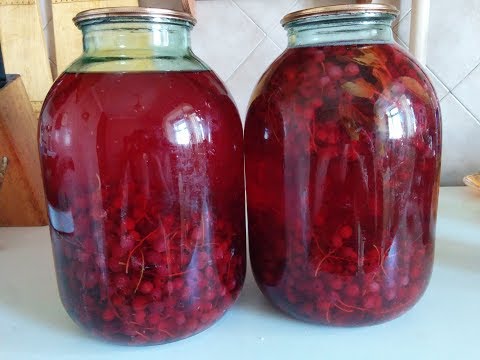 Redcurrant compote: for the winter, for every day, benefits and harms, calories